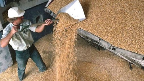 МінАПК: Україна збере 52-54 мільйона тонн зернових