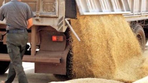 Депутати "звільнили" експорт зерна від ПДВ