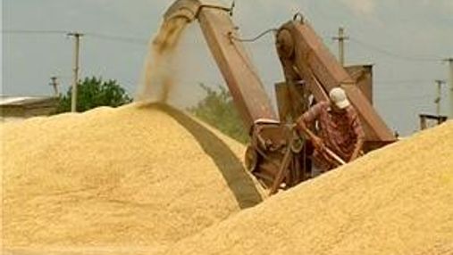 Українське зерно знову продаватимуть в Єгипет