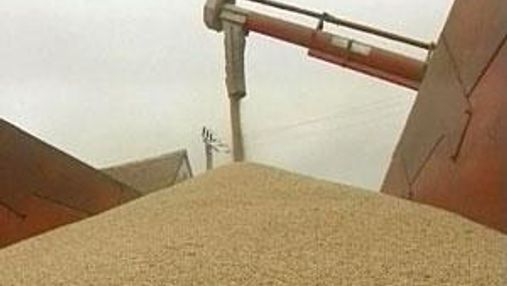 На світовому ринку зерна з’явився новий глобальний ціновий індекс