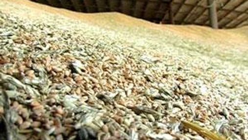 Україна експортувала майже 6 мільйонів тонн зерна