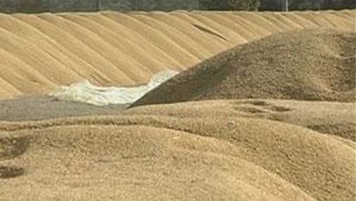 У січні Україна експортувала 2 млн. тонн зерна