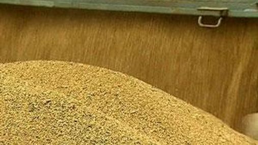 Аграрний фонд України розпочав форвардні закупівлі зерна
