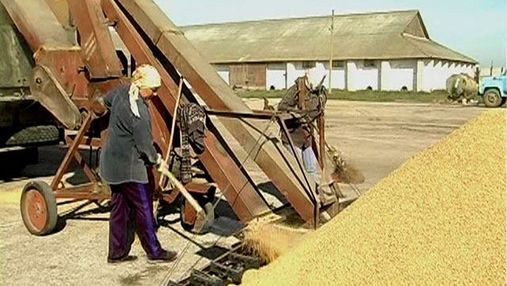 Пропозиція зерна в наступному маркетинговому році становитиме 60 млн т