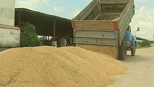 Аграріям дадуть 450 млн грн компенсації збитків через посуху