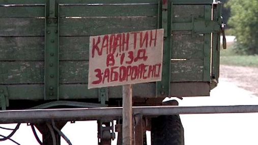 Держветслужба заборонила експорт свинини із Запорізької області