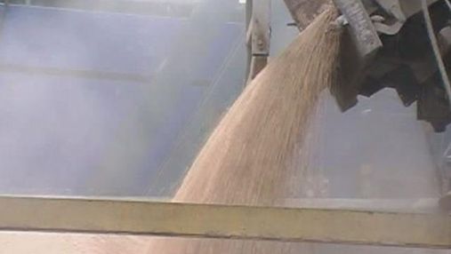 Україна експортувала вдвічі більше зерна, ніж минулоріч