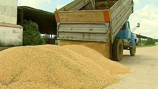 С июля Украина экспортировала всего 2,7 миллионов тонн зерна