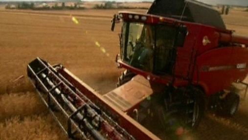 Объем мирового урожая пшеницы снизится до 658,7 миллионов тонн