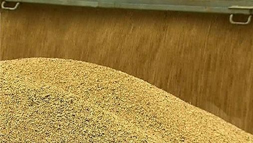 Итоги недели: Через пять лет Украине обещают урожай зерновых до 80 миллионов тонн