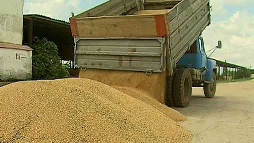 Аграрный фонд планирует закупить 1,3 млн тонн зерна урожая 2013 года