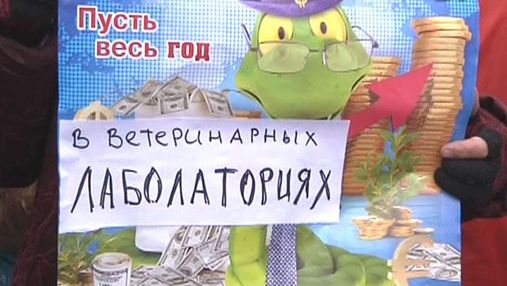 Запорожские торговцы протестуют против новых цен на санитарно-ветеринарную экспертизу