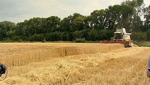 Экспорт зерновых увеличился на 38,5%, - Присяжнюк
