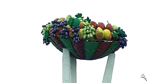 Из-за морозов производители Крыма потеряют не более 300 тонн фруктов
