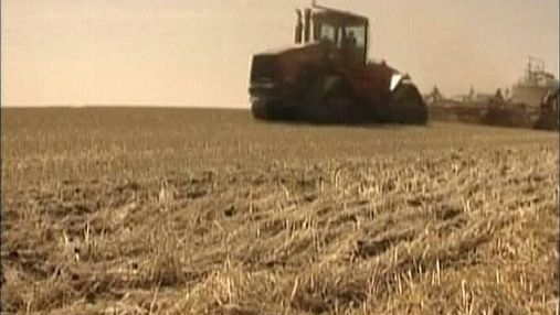Украинские аграрии увеличили экспорт зерна из Украины