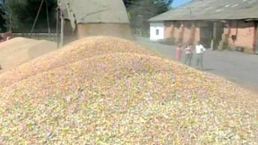 Україна б’є рекорди в експорті зерна