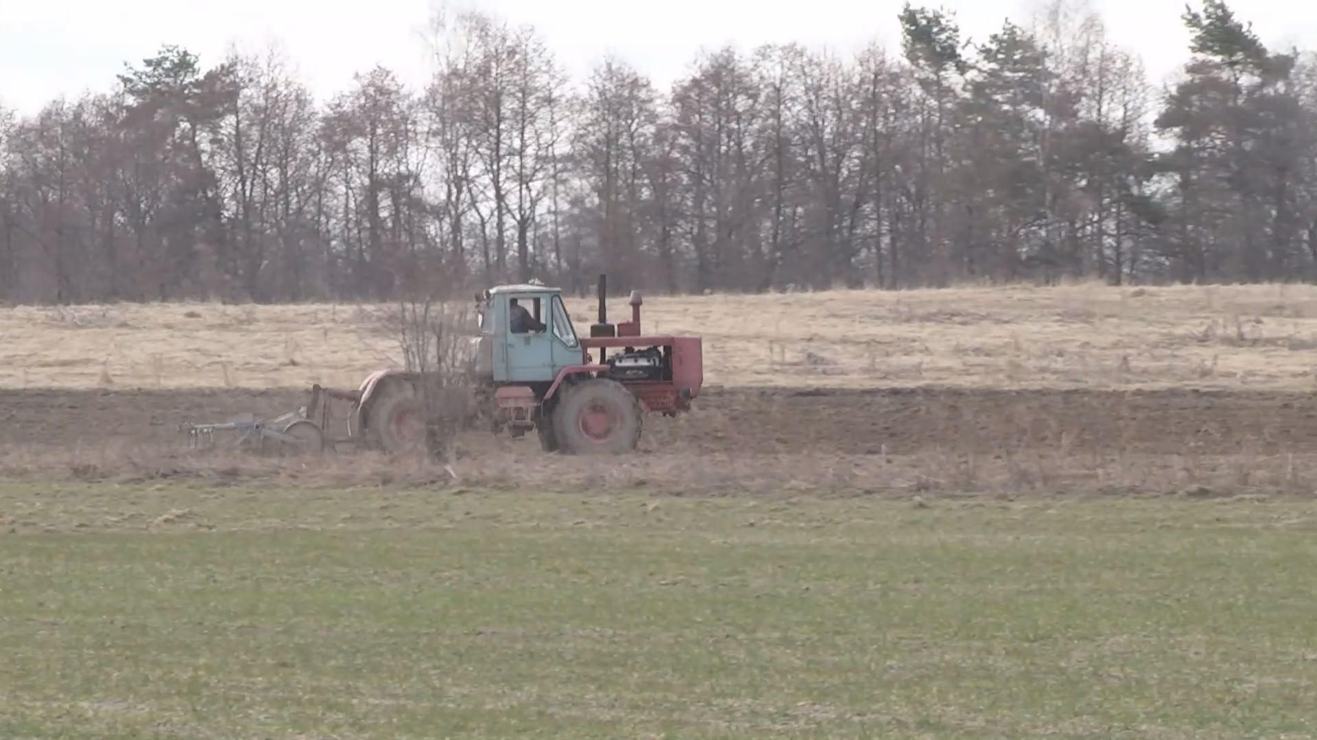 В Украине станет меньше посевных площадей