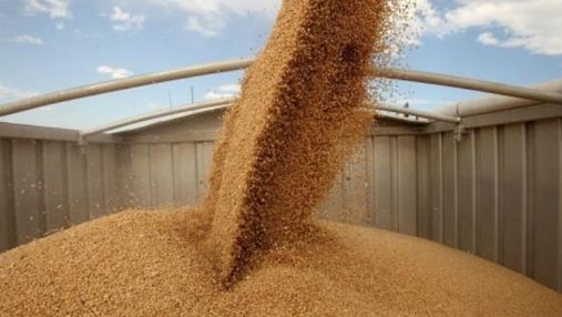 Зростання залізничного тарифу зробить українське зерно неконкурентним, — МінАПК
