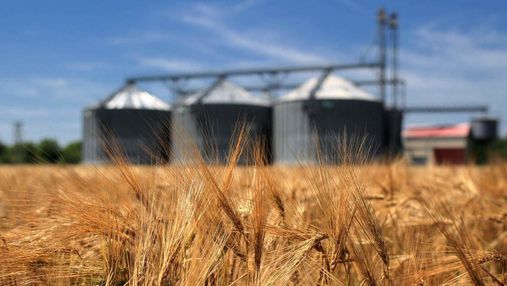 Агрохолдинг Бахматюка рекордно збільшив експорт зерна, – РБК 