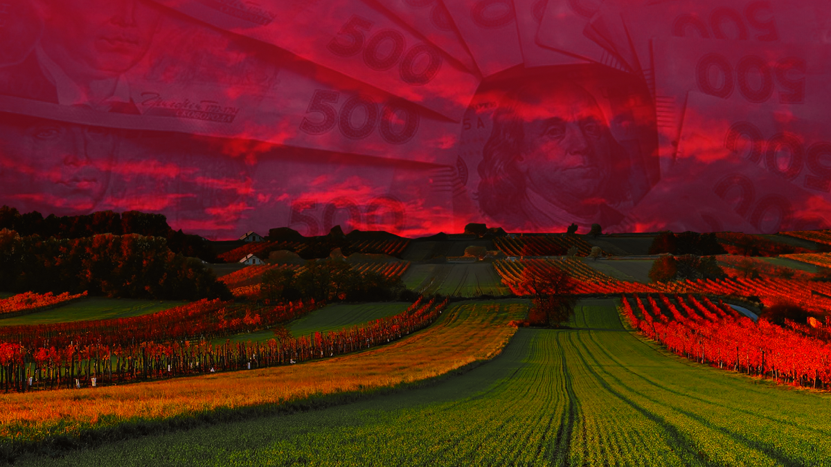 Ринок землі: фермерам – кредити, олігархам – обмеження Ринок землі: фермерам – кредити, олігархам – обмеження