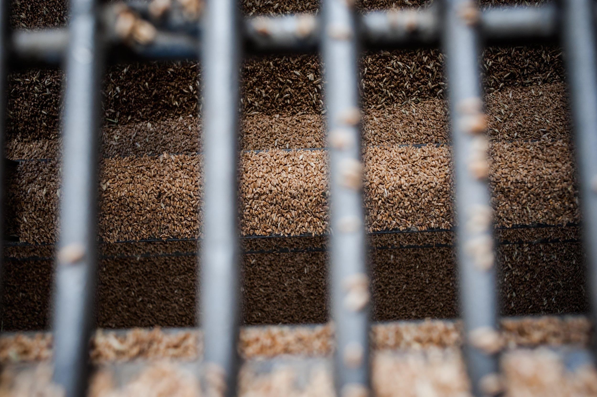 Как карантин повлияет на фермеров Как карантин повлияет на фермеров