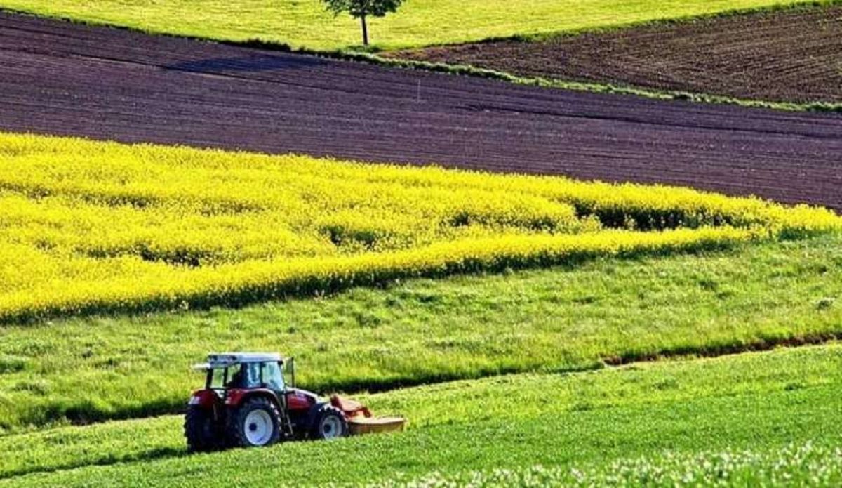 Відкриття ринку землі: Світовий банк закликає ухвалити додаткові закони
Відкриття ринку землі: Світовий банк закликає ухвалити додаткові закони