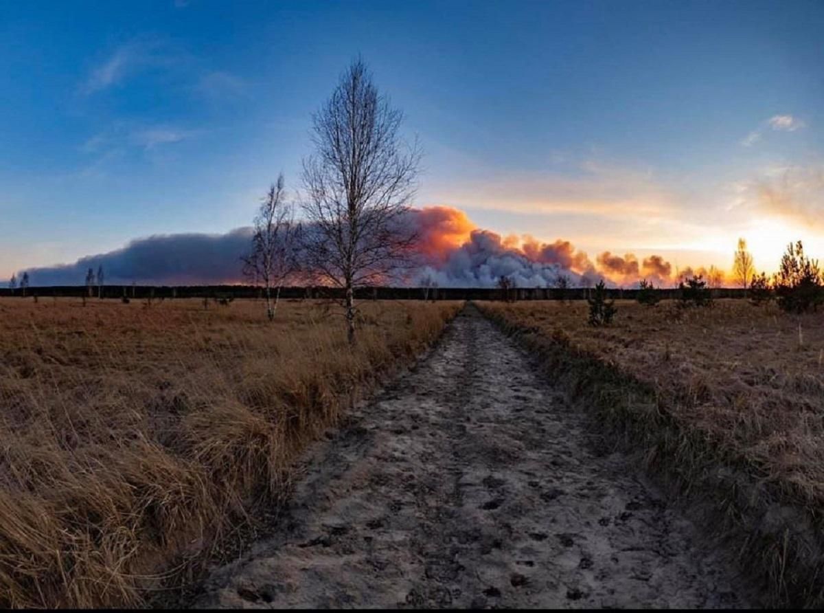 Почему вспыхивают пожары и как это повлияет на здоровье людей Почему вспыхивают пожары и как это повлияет на здоровье людей