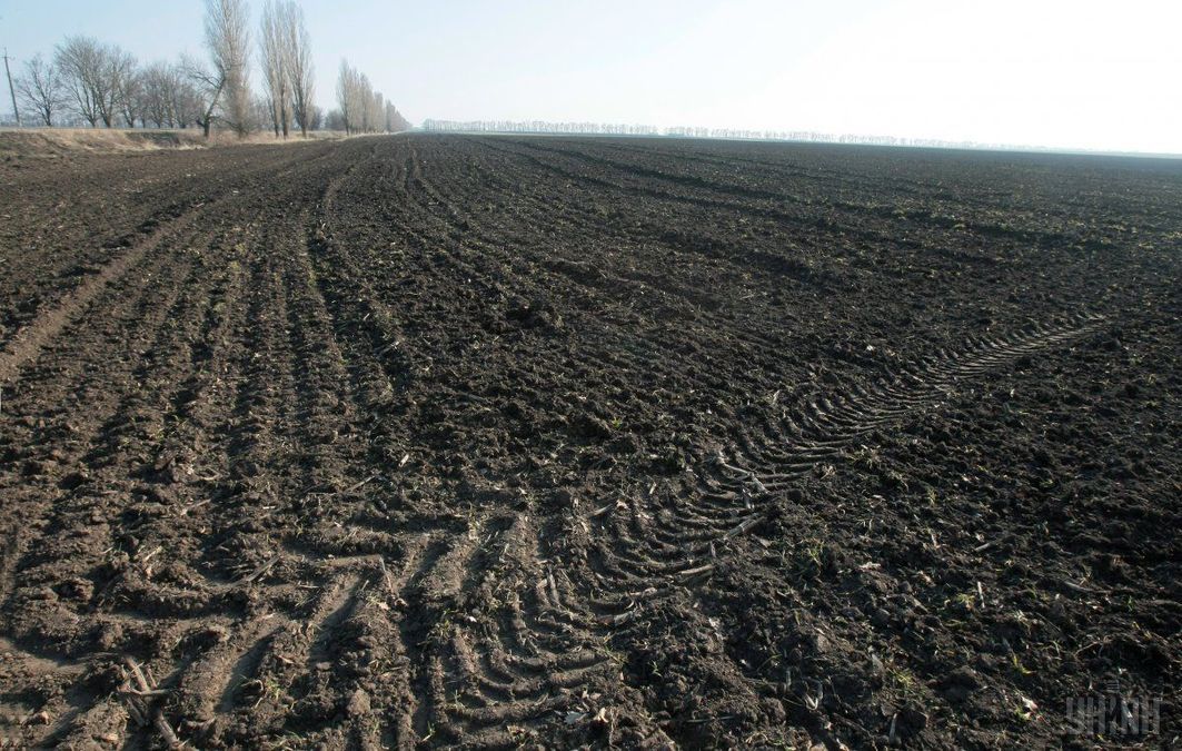 Закон о рынке земли: уже вступил в силу один пункт