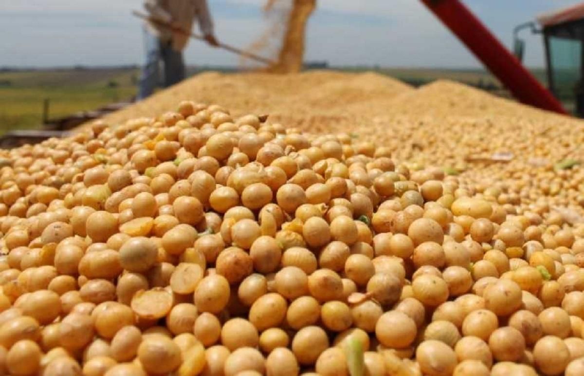 Зеленский хочет ветировать скандальный закон Зеленский хочет ветировать скандальный закон