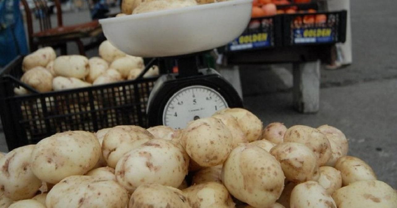 Молода українська картопля може згнити в полях Молода українська картопля може згнити в полях