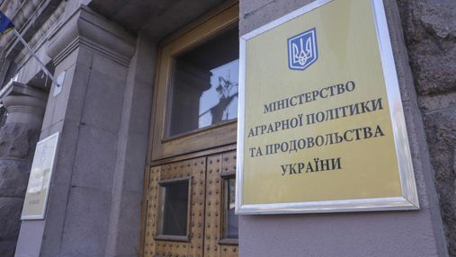 "Новое-старое" министерство может снова появиться в Украине