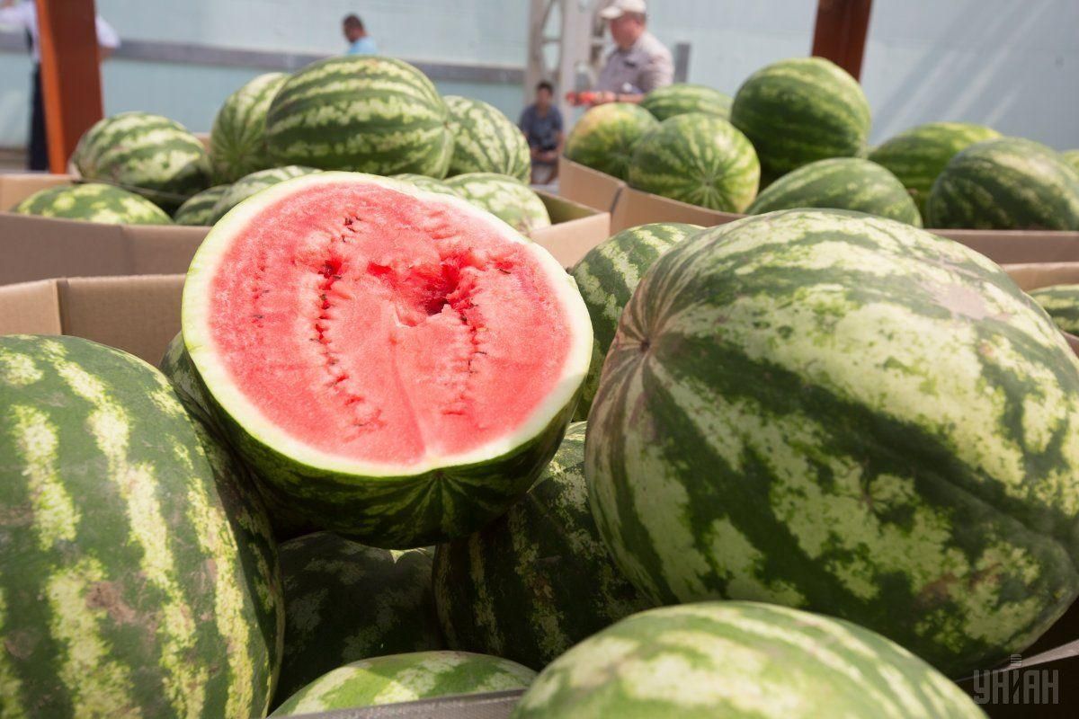 Перші кавуни в Україні: ціна на початку червня 2020, звідки імпорт Перші кавуни в Україні: ціна на початку червня 2020, звідки імпорт