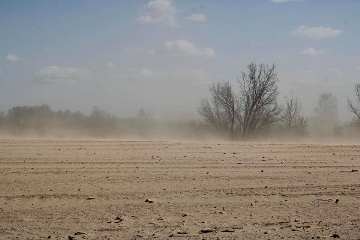 Пыльные бури и затопления: что грозит украинским аграриям