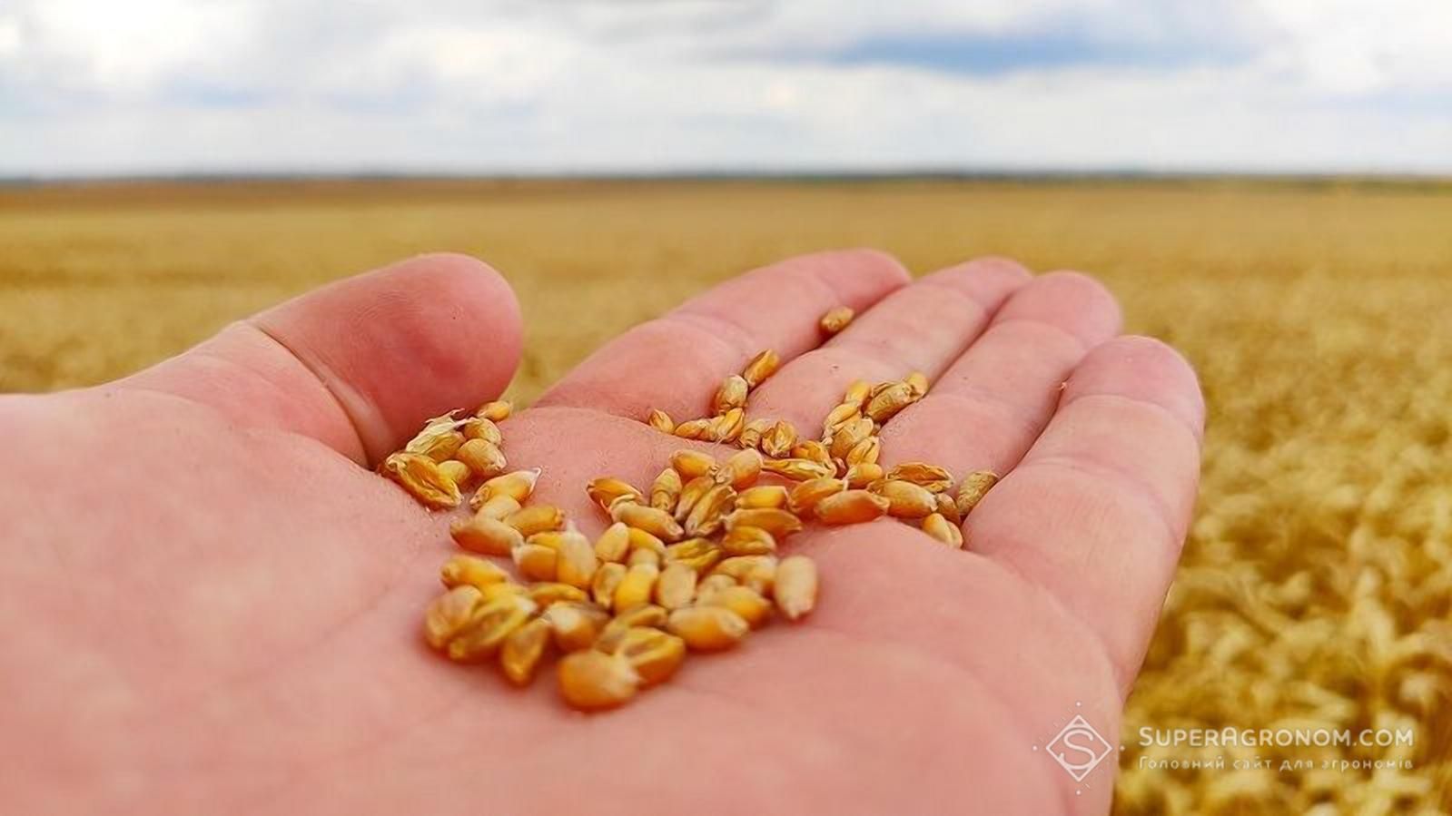 Украина сократила импорт семян
