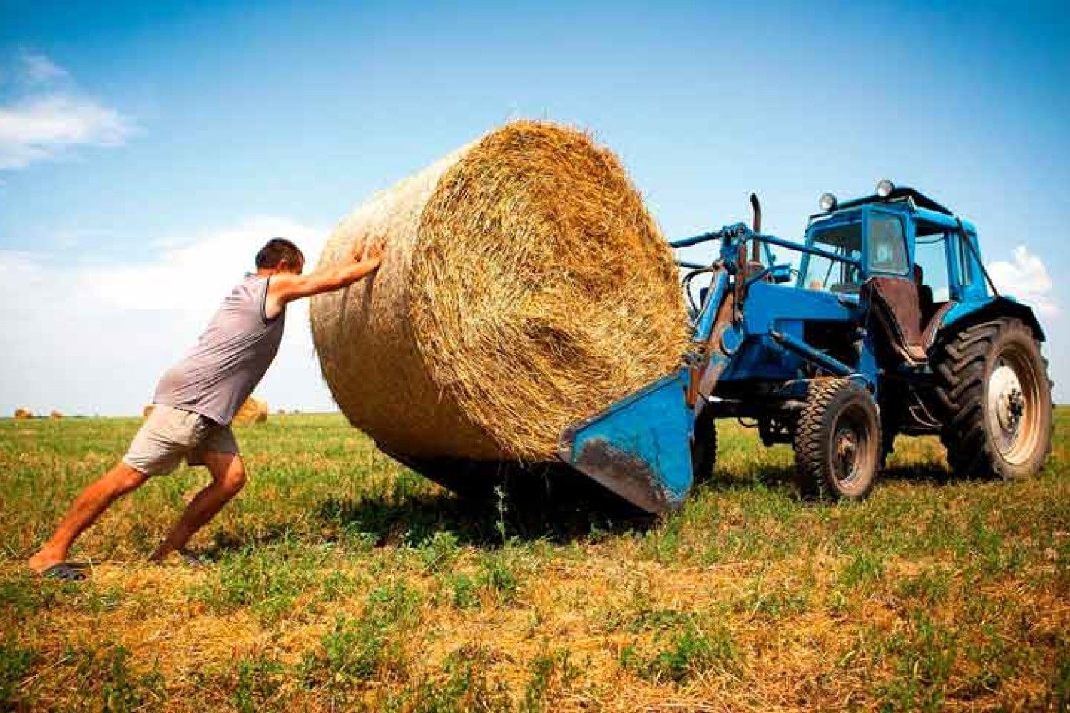 Украинские фермеры