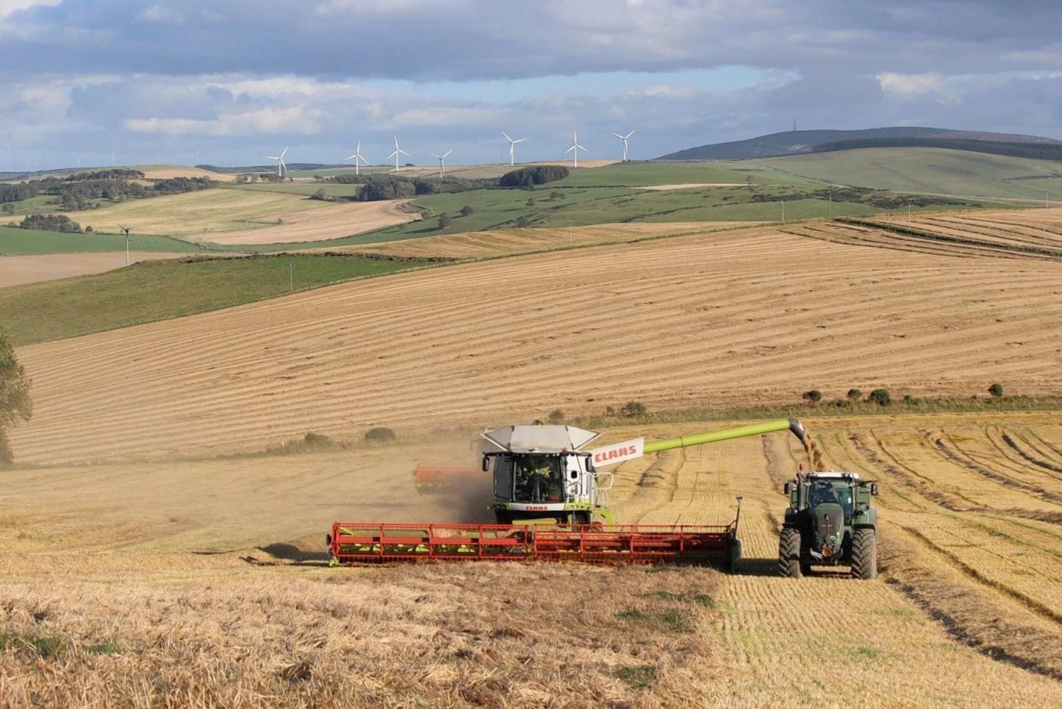Зелений курс: чому екологічні доктрини ЄС можуть стати бар'єром для українського агроекспорту