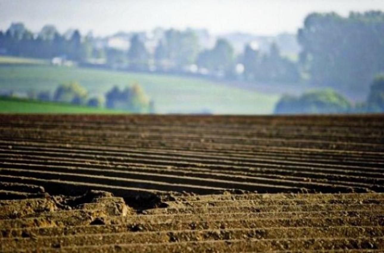 Несмотря на мораторий: сколько гектаров земли приватизировали в Украине
