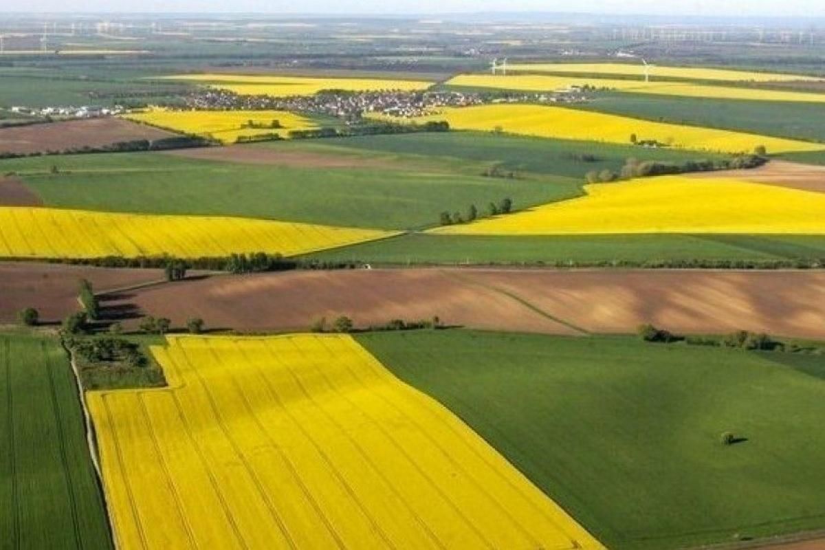 Ерозія поширюється: в Україні пропонують законсервувати частину земель