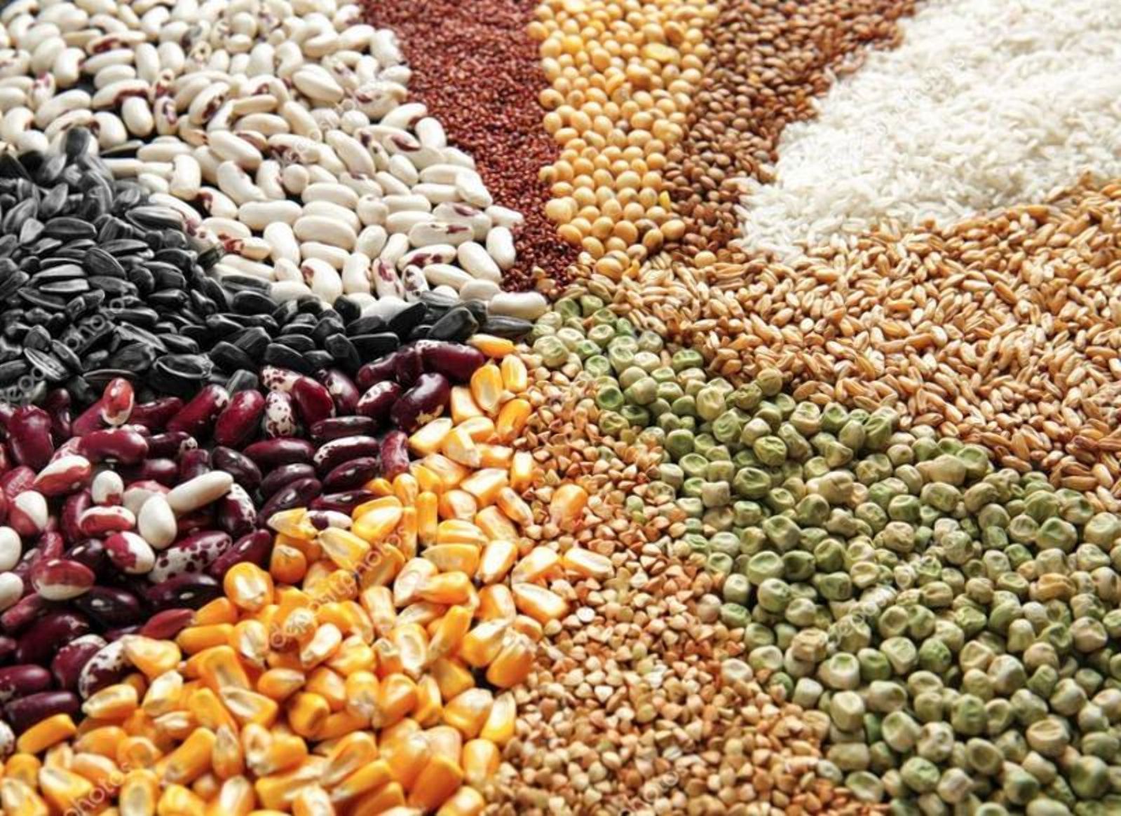 Інститут садівництва збудує вірусологічний комплекс Інститут садівництва збудує вірусологічний комплекс