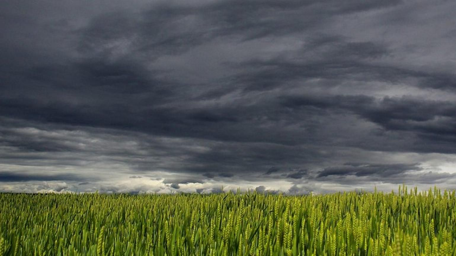 Климат-2021: чего ожидать аграриям от погоды