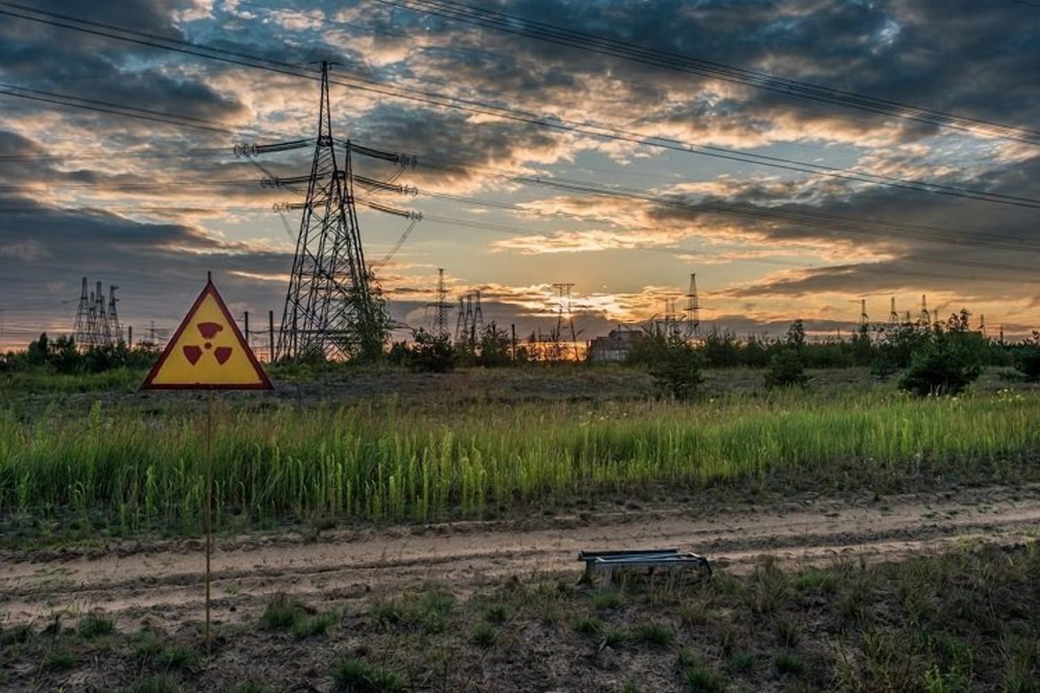 Біля Чорнобиля досі збирають радіоактивний врожай