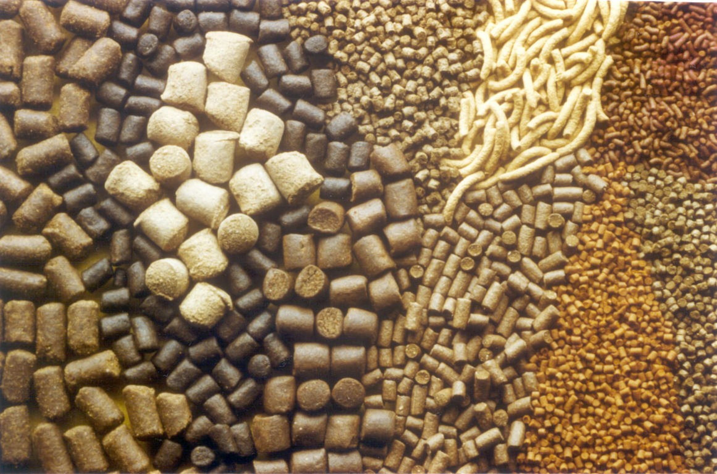 Кормовые добавки с ЕС будут ввозить без регистрации в Украине Кормовые добавки с ЕС будут ввозить без регистрации в Украине