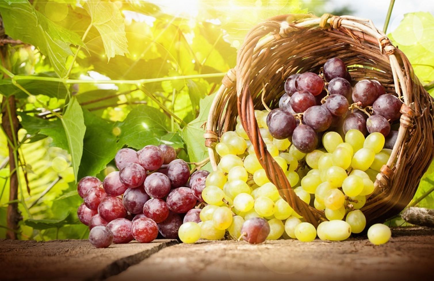 Експорт турецького винограду в Україну зростатиме, – США