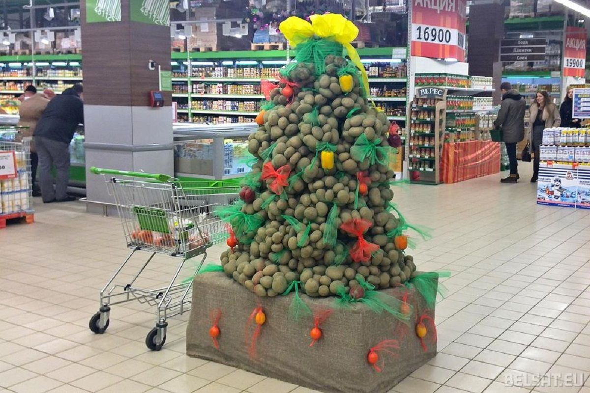 Картофельная "елка" в Беларуси