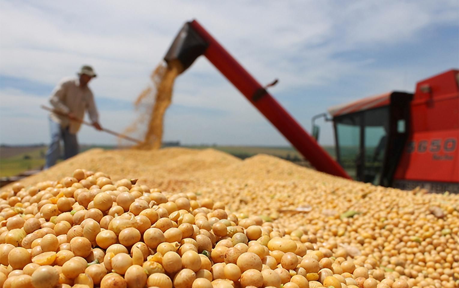 Україна втричі наростила імпорт сої Україна втричі наростила імпорт сої