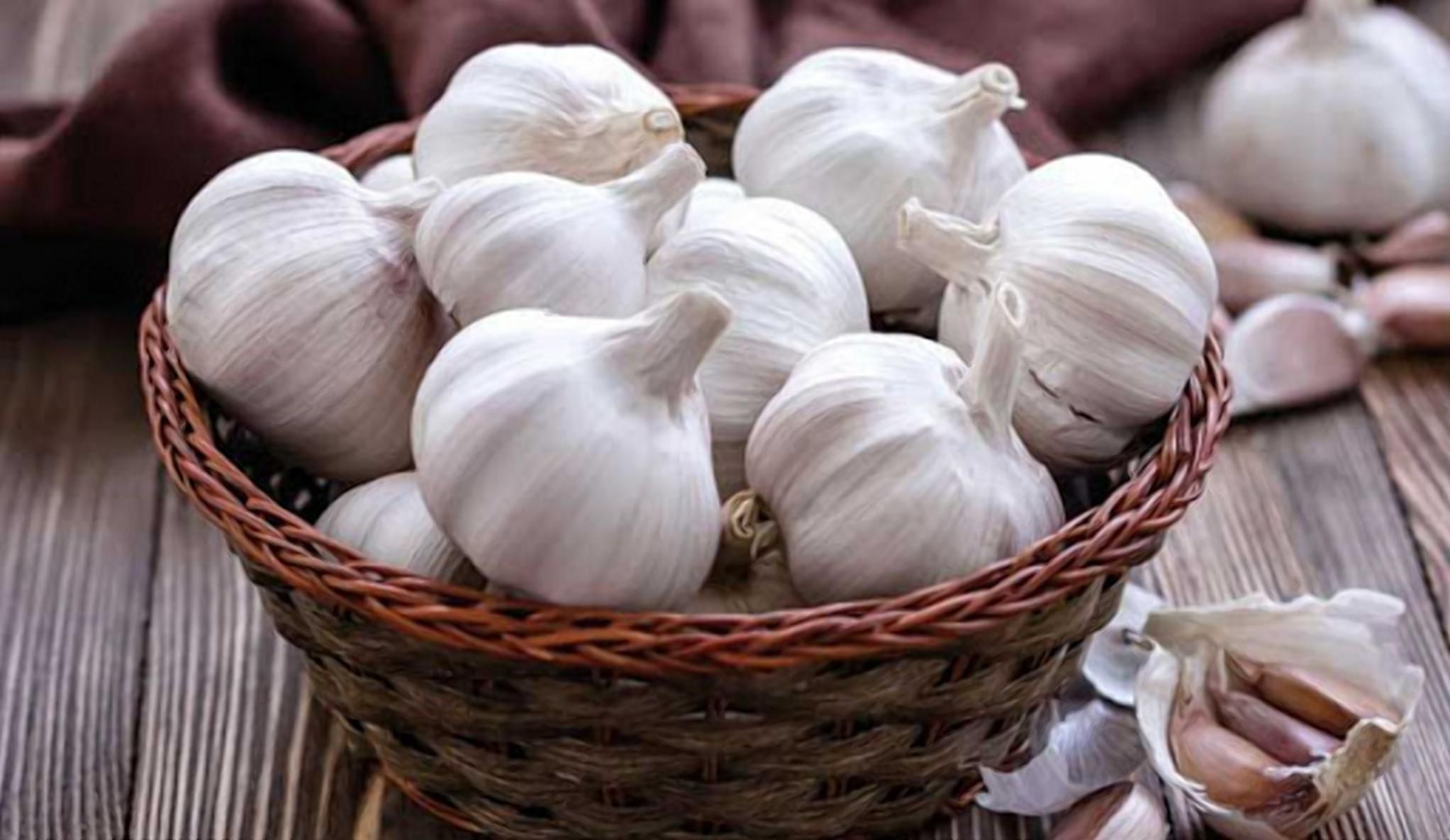 Украина начала экспортировать чеснок в Великобританию Украина начала экспортировать чеснок в Великобританию