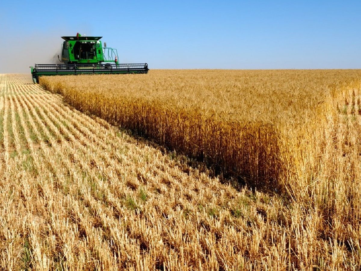 Іноземці поки що не зможуть купити землю Іноземці поки що не зможуть купити землю