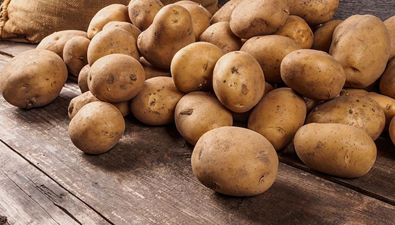 Польща знизить площі картоплі через низькі ціни на продукт