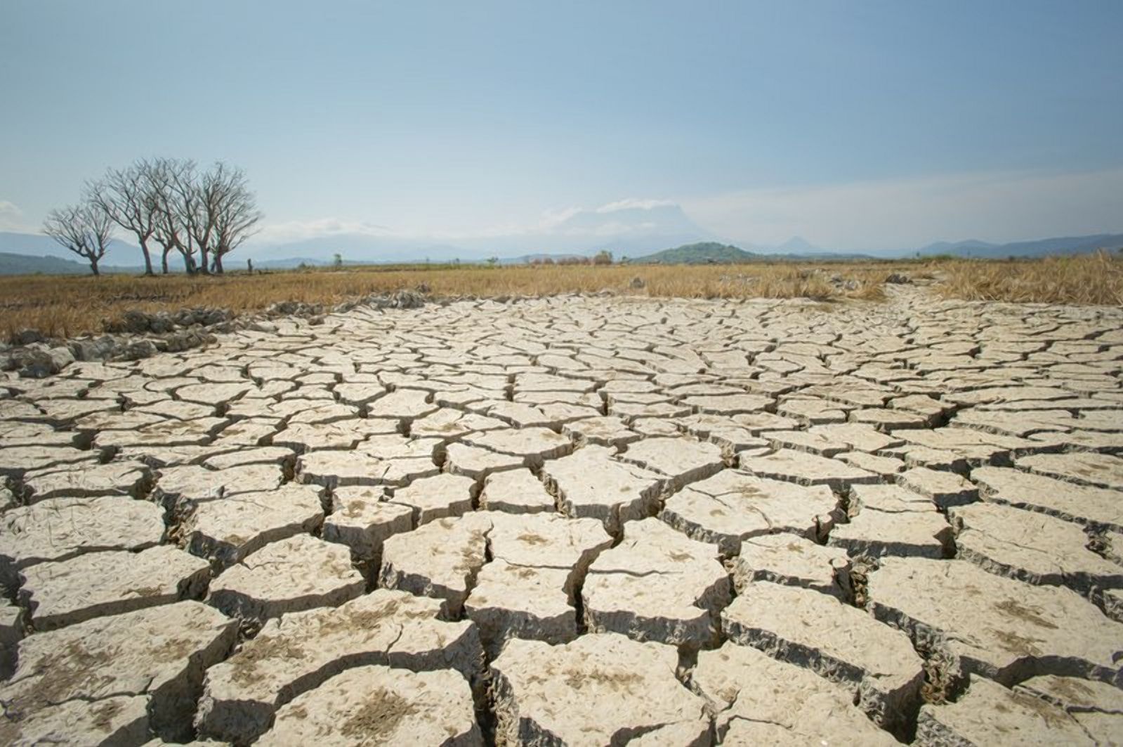 Крим від цьогорічної посухи не врятують навіть рясні опади, – вчені