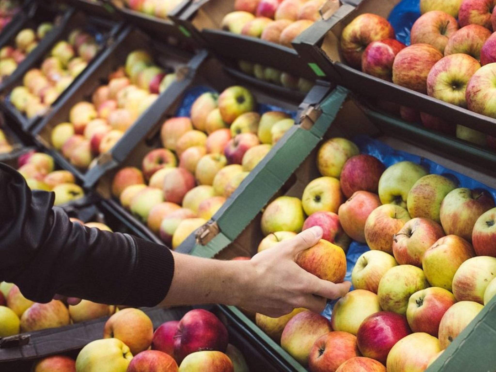 Ціна на яблука незабаром зросте: причини
